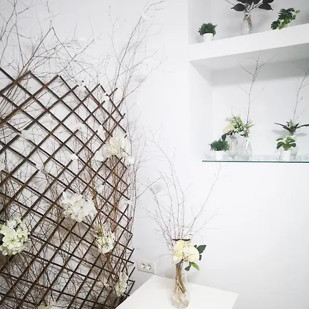 Apartament Old Town Tomis דירה קונסטנצה