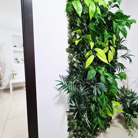 Apartament Old Town Tomis דירה קונסטנצה